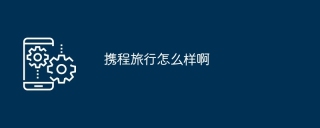 携程旅行怎么样啊