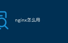 nginx怎么用