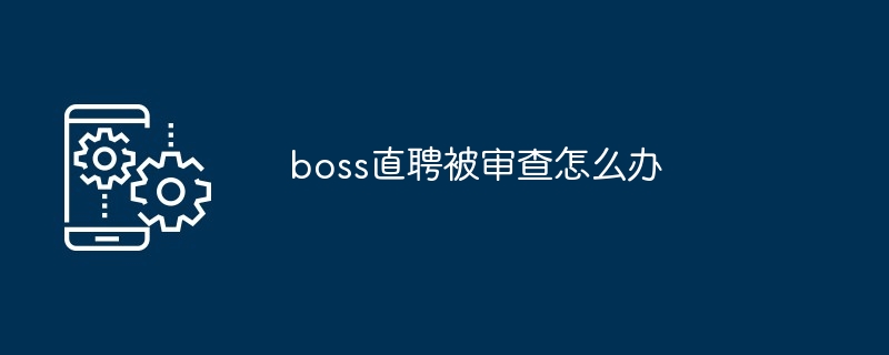 boss直聘被审查怎么办
