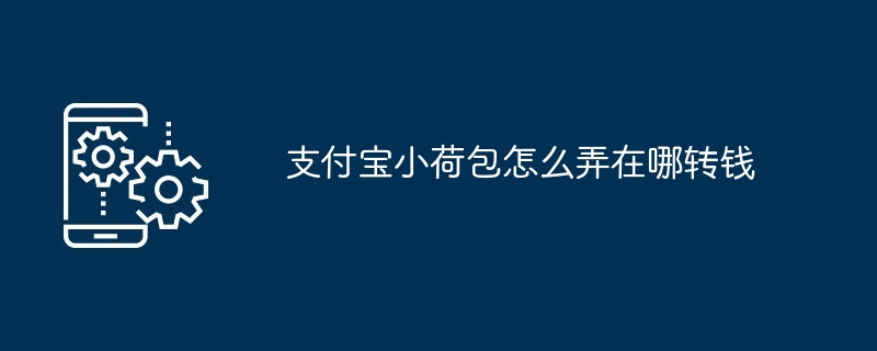 支付宝小荷包怎么弄在哪转钱