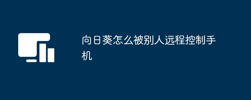 向日葵怎么被别人远程控制手机