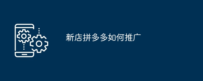 新店拼多多如何推广