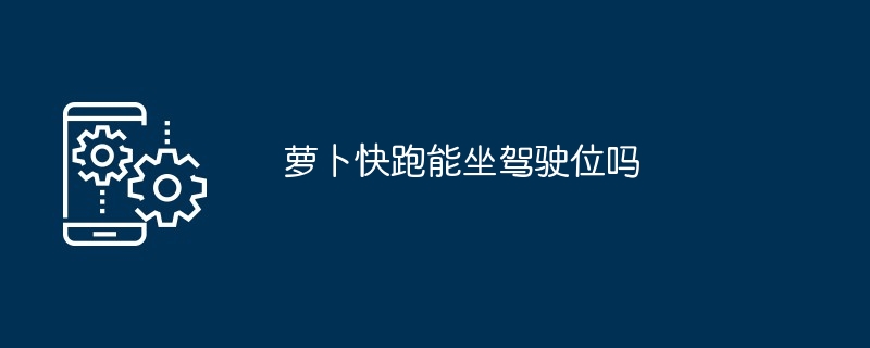 萝卜快跑能坐驾驶位吗