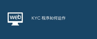 KYC 程序如何运作