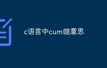 c语言中cum啥意思