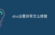 dns设置异常怎么修复