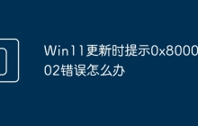 Win11更新时提示0x80004002错误怎么办
