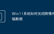 Win11系统如何关闭跨境传输数据