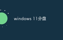 windows 11分盘