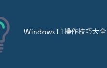 Windows11操作技巧大全