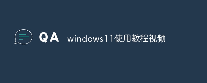windows11使用教程视频