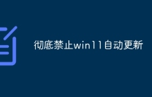 彻底禁止win11自动更新