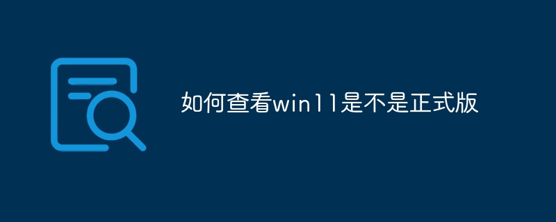 如何查看win11是不是正式版