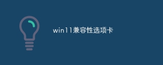 win11兼容性选项卡