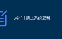 win11禁止系统更新