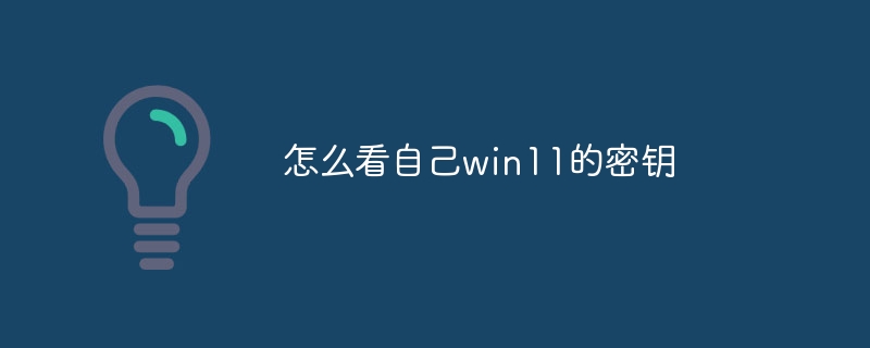 怎么看自己win11的密钥