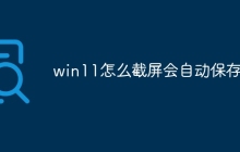 win11怎么截屏会自动保存