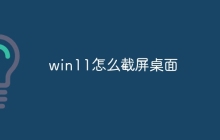 win11怎么截屏桌面
