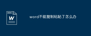word不能复制粘贴了怎么办