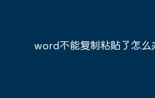 word不能复制粘贴了怎么办