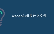 wscapi.dll是什么文件