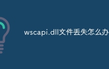 wscapi.dll文件丢失怎么办