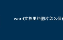 word文档里的图片怎么保存