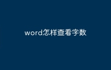 word怎样查看字数