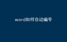 word如何自动编号