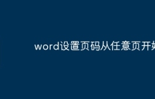 word设置页码从任意页开始