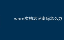 word文档忘记密码怎么办