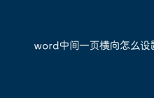 word中间一页横向怎么设置