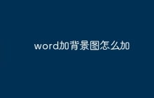 word加背景图怎么加