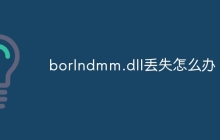 borlndmm.dll丢失怎么办