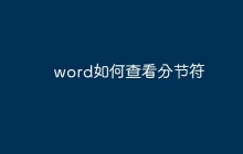 word如何查看分节符