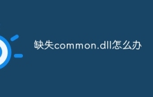 缺失common.dll怎么办