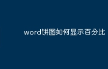 word饼图如何显示百分比