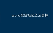 word段落标记怎么去掉