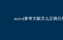 word参考文献怎么正确引用