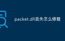 packet.dll丢失怎么修复
