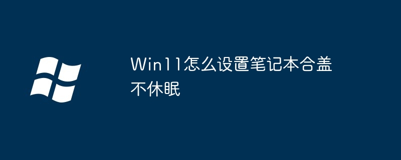 Win11怎么设置笔记本合盖不休眠
