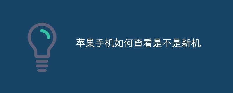 苹果手机如何查看是不是新机