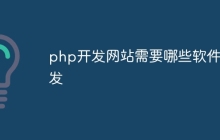 php开发网站需要哪些软件开发
