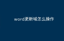 word更新域怎么操作