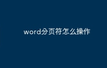 word分页符怎么操作