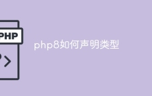 php8如何声明类型