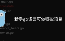 新手go语言可做哪些项目