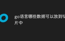 go语言哪些数据可以放到切片中
