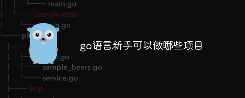 go语言新手可以做哪些项目