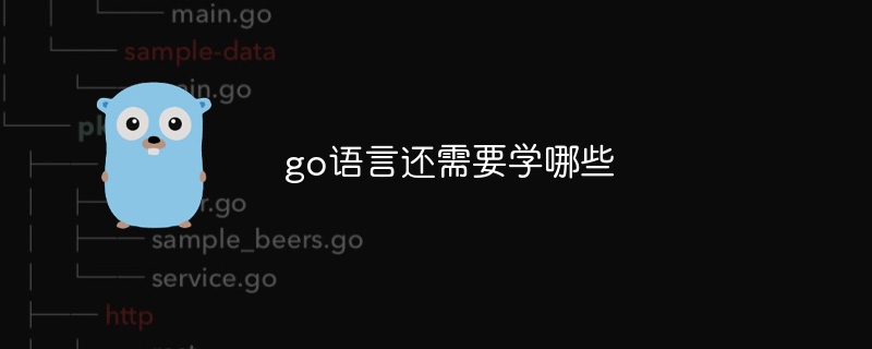 go语言还需要学哪些